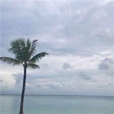 快三买大小的正规平台