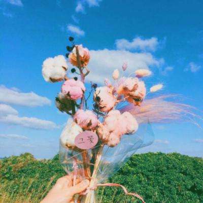 澳门银银河官方网welcome下载手机版